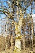 IMG_20200414_170254~2.jpg