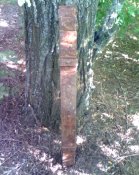IMG2188A.jpg