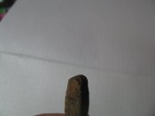 IMG_8349.JPG