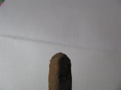 IMG_8351.JPG