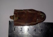 IMG_20200418_185652.jpg
