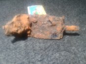 20200419_181054.jpg