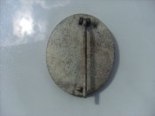 SL381397.JPG