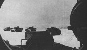 Panther (2).jpg