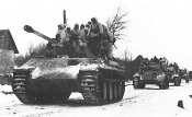 пантера (1).jpg