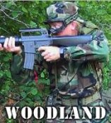 woodland.jpg