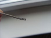 SL381423.JPG