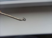 SL381424.JPG