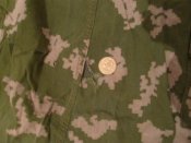 S7300348.jpg