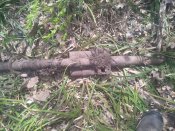 IMG_20200420_132121.jpg