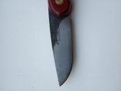 IMG_20200420_184358.jpg