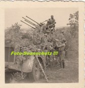Sd.Kfz. 7-1 2cm Flakvierling 38.1941.jpg