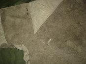 DSC07418.jpg