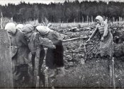 wUXQG8lEF8M.jpg