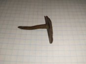 IMG_20200421_140648.jpg