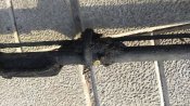 IMG_20200421_172524.jpg