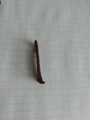 IMG_20200422_125218.jpg