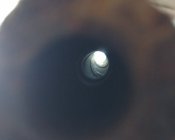 94111056_243968706964227_3785914504924102656_n.jpg