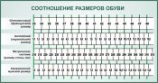 Оригинальные ботинки Британских полицейских(новые,оригинал)-790грн