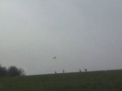 IMG_20200420_093714.jpg