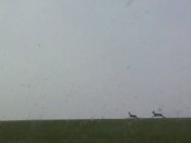 IMG_20200420_093719.jpg