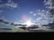 IMG_20200420_183746.jpg