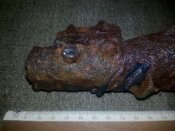 IMG_20200422_223805.jpg