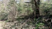 IMG_20200423_122845.jpg