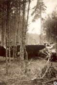 Katastrofa_samolotow_typu_Junkers_Ju_87B_Swietoszow_5623819.jpg
