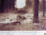 Katastrofa_samolotow_typu_Junkers_Ju_87B_Swietoszow_5634473.jpg