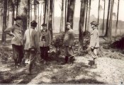 Katastrofa_samolotow_typu_Junkers_Ju_87B_Swietoszow_5787614.jpg