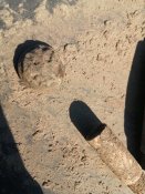 IMG_20200423_180937.jpg