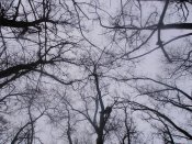 PC070011.jpg