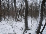 PC070008.jpg