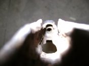 DSC01702.jpg