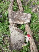 IMG_20200424_165744.jpg