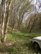 IMG_20200424_161055.jpg