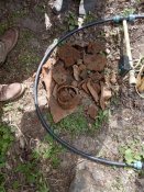 IMG_20200424_124645.jpg