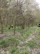 IMG_20200424_124259.jpg