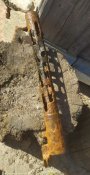 IMG_20200425_090533.jpg