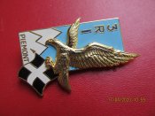 Полковой знак,Франция