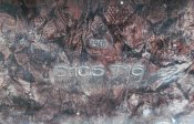 sshot-5.jpg