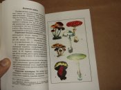 Медицинский справочник туриста  (А5) (1 шт.)