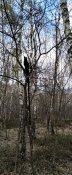 IMG_20200426_112629~2.jpg