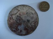 DSC01535.jpg