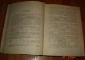 DSC01409.JPG