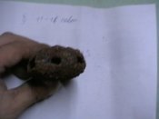 IMGA0956.JPG