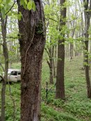 IMG_20200428_174630.jpg