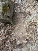 IMG_20200428_135502.jpg