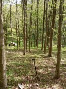 IMG_20200428_152022.jpg